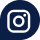 Instagram Icon