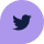 Twitter Icon